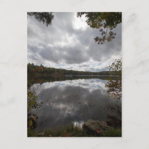 October Wind Blows Postcard