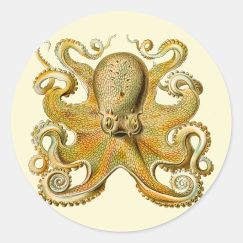 Octopus antique illustration sea monster classic round sticker