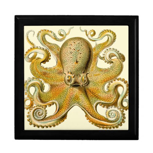 Octopus antique illustration sea monster keepsake box