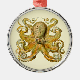 Octopus antique illustration sea monster metal ornament