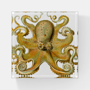 Octopus antique illustration sea monster paperweight