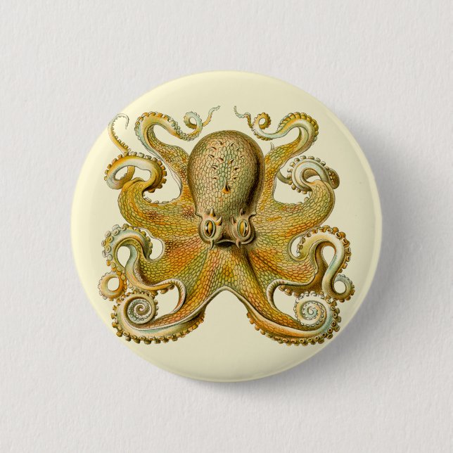 Octopus antique illustration sea monster pinback button (Front)
