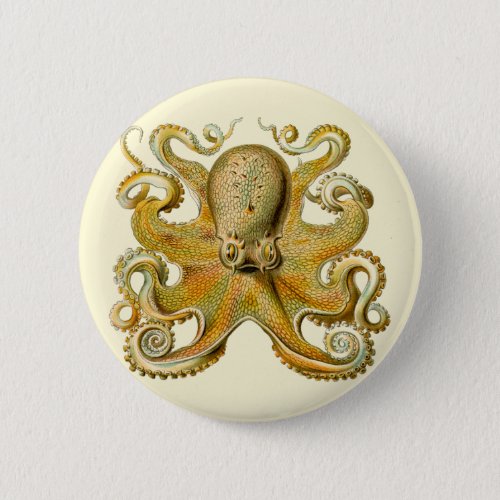 Octopus antique illustration sea monster pinback button