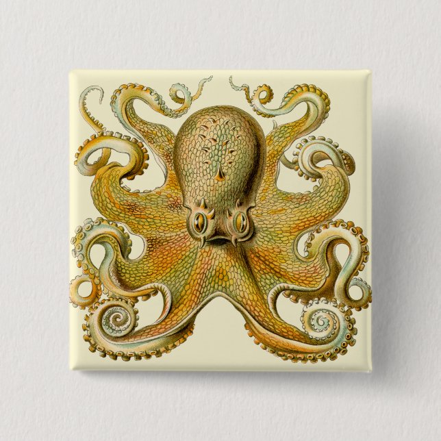 Octopus antique illustration sea monster pinback button (Front)