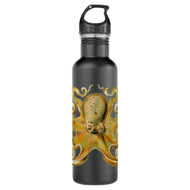 Octopus antique illustration sea monster stainless steel water bottle (Front)