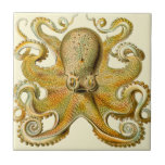Octopus Antique Illustration Sea Monster Tile at Zazzle
