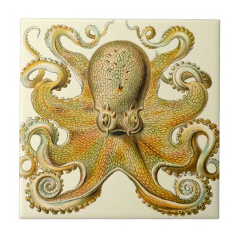 Octopus Antique Illustration Sea Monster Tile by antiqueart at Zazzle