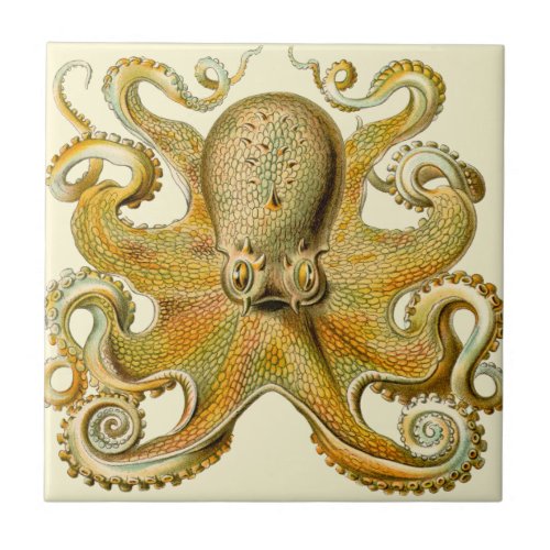 Octopus antique illustration sea monster tile