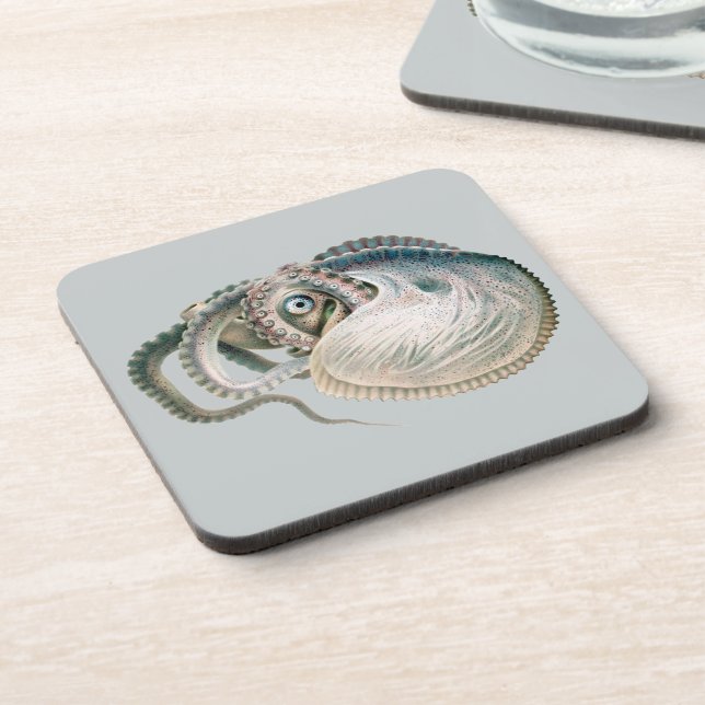 Octopus Argonaut, Vintage Marine Life Animals Coaster (Left Side)