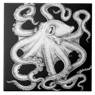 Octopus Black And White Ink Ceramic Tile
