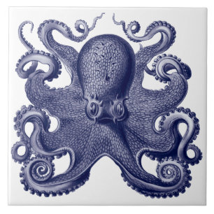 Octopus Blue & White Ceramic Tile
