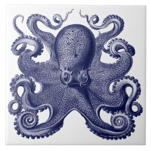 Octopus Blue  White Ceramic Tile
