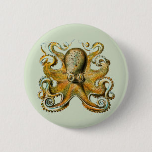 Octopus Button