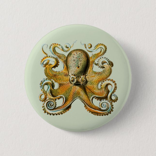 Octopus Button (Front)