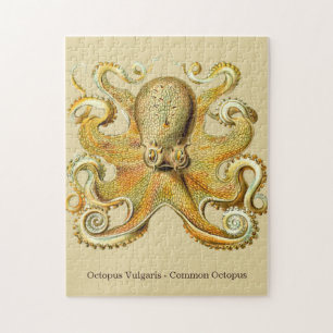 Octopus by Ernst Haeckel Vintage Ocean Life Jigsaw Puzzle