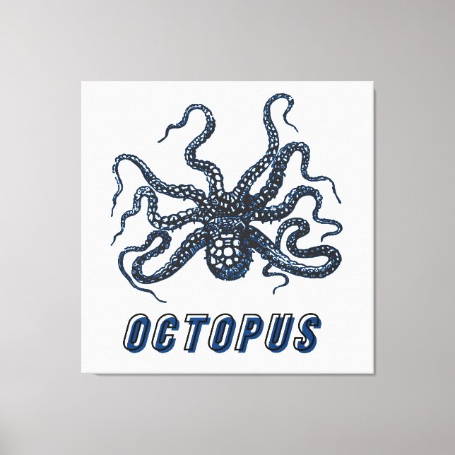 Octopus  canvas print (Front)