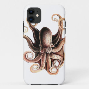 Octopus Case