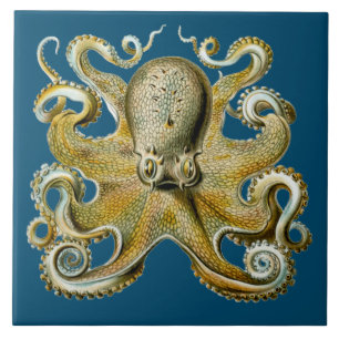 Octopus Ceramic Tile