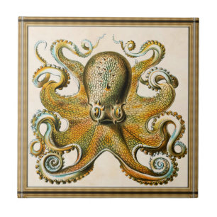 Octopus Ceramic Tile