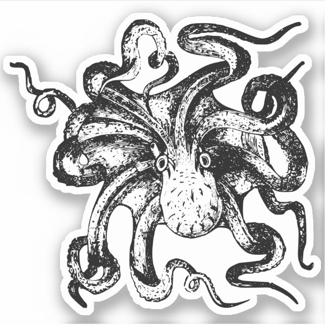 Octopus Contour Stickers (Front)