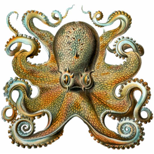 Octopus Cutout Magnet/Sculpture Cut Out | Zazzle