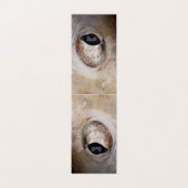 Octopus Eye (Outside Unfolded)