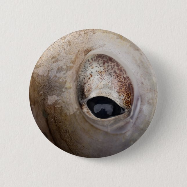 Octopus Eye Button (Front)