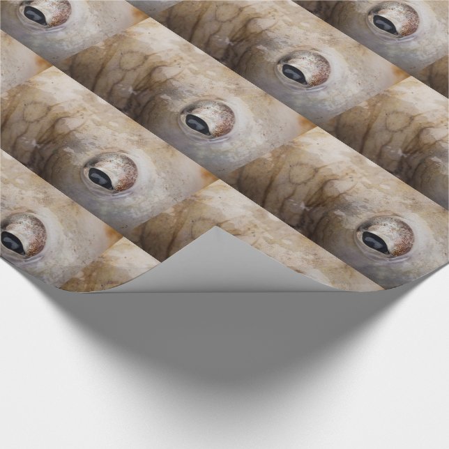 Octopus Eye Wrapping Paper (Corner)