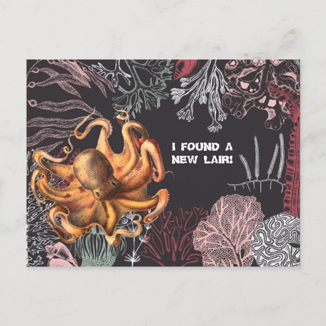 Octopus Garden Change of Address Postcard (Front)