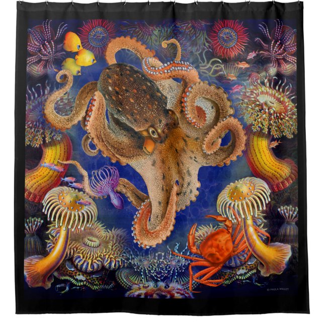Octopus Garden Shower Curtain (Front)