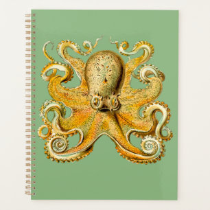 Octopus Gold and Blue Spiral Planner