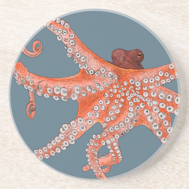 Octopus Hugs Coaster (Front)