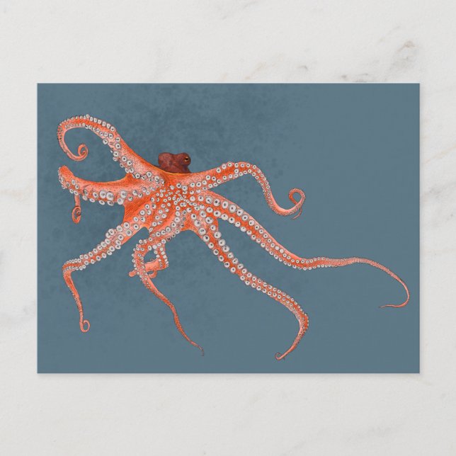 Octopus Hugs Postcard (Front)