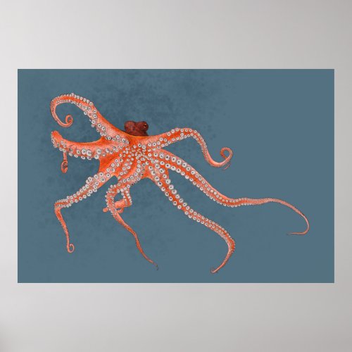 Octopus Hugs Poster