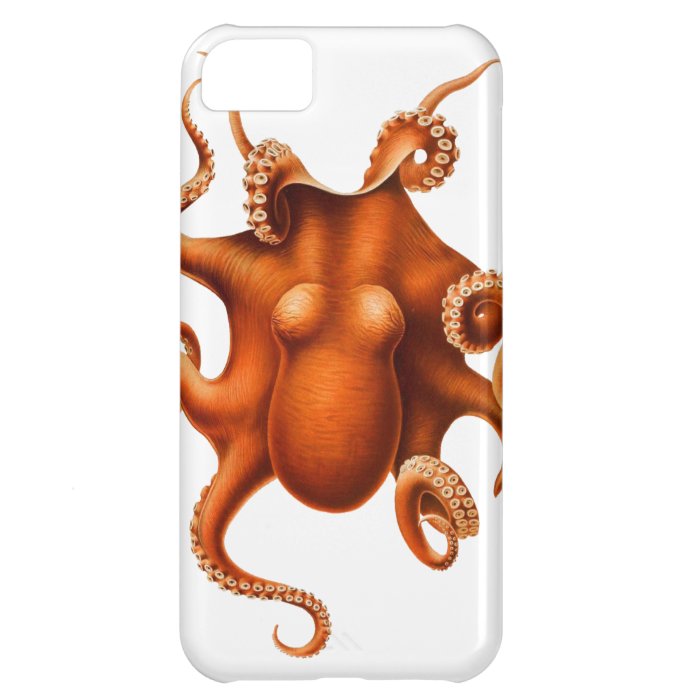 Octopus Illustration Case For iPhone 5C