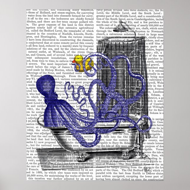 Octopus in Bath Poster (Front)