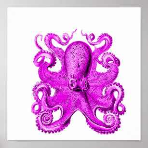 Octopus in purple / ultraviolet poster