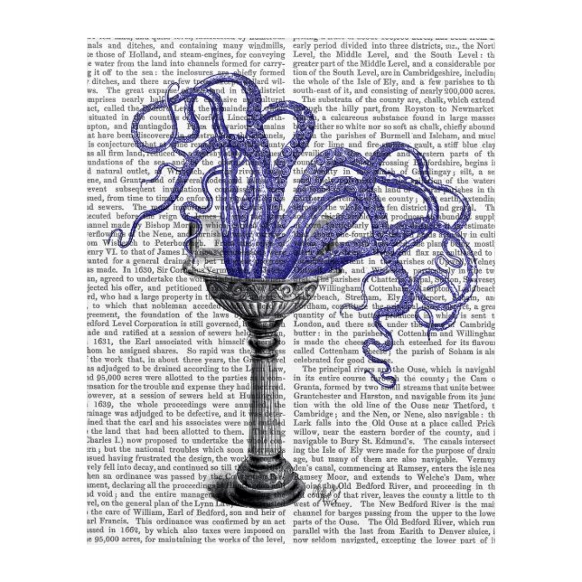 Octopus in Sink Acrylic Print (Front)