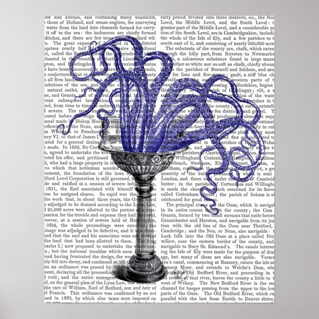 Octopus in Sink Poster (Front)
