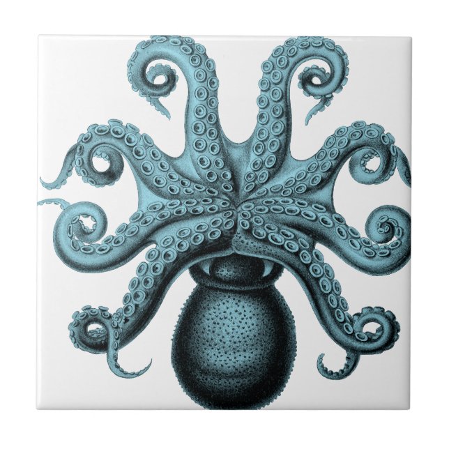 Octopus in Teal Ceramic Tile (Front)