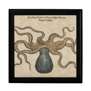 Octopus Kraken Antique Coastal Marine Wildlife Gift Box
