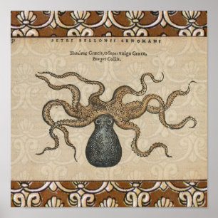 Octopus Kraken Antique Coastal Marine Wildlife Poster