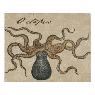 Octopus Kraken Antique Coastal Marine Wildlife Poster