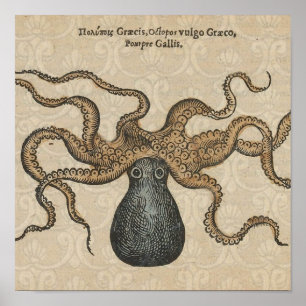 Octopus Kraken Antique Coastal Marine Wildlife Poster