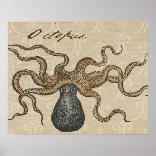 Octopus Kraken Antique Coastal Marine Wildlife Poster