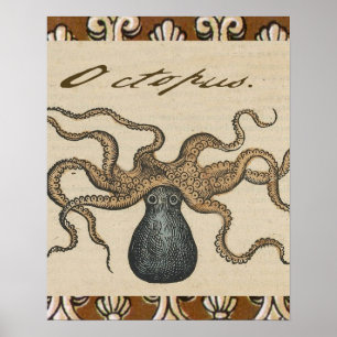 Octopus Kraken Antique Coastal Marine Wildlife Poster