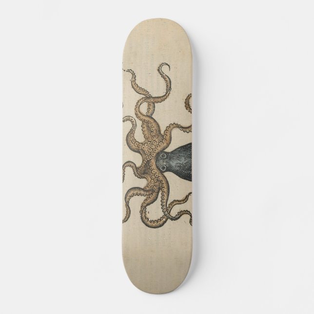 Octopus Kraken Antique Coastal Marine Wildlife Skateboard Deck (Front)