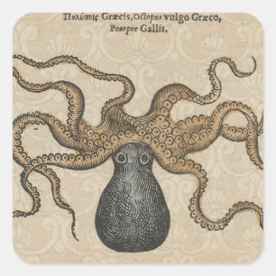 Octopus Kraken Antique Coastal Marine Wildlife Square Sticker