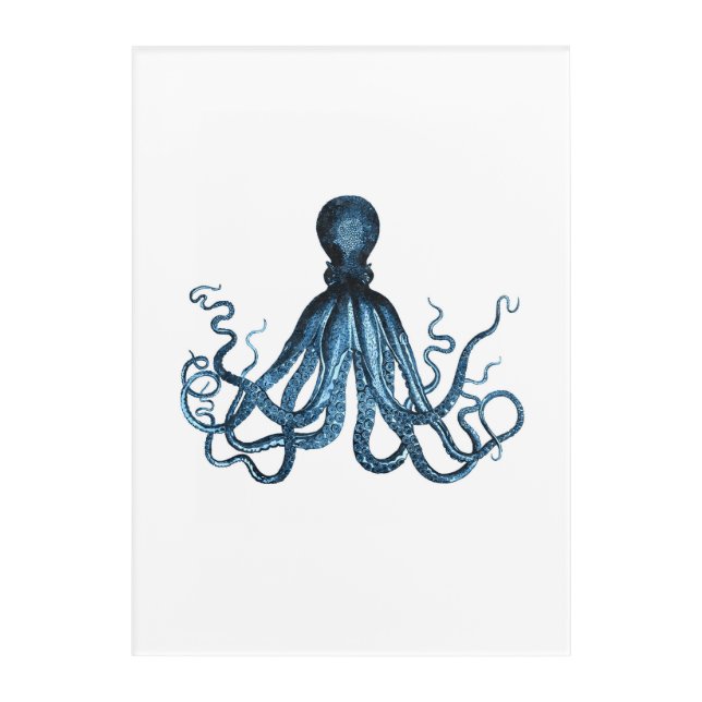 Octopus kraken blue coastal watercolor acrylic print (Front)