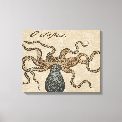 Octopus Kraken Vintage Illustration Canvas Print